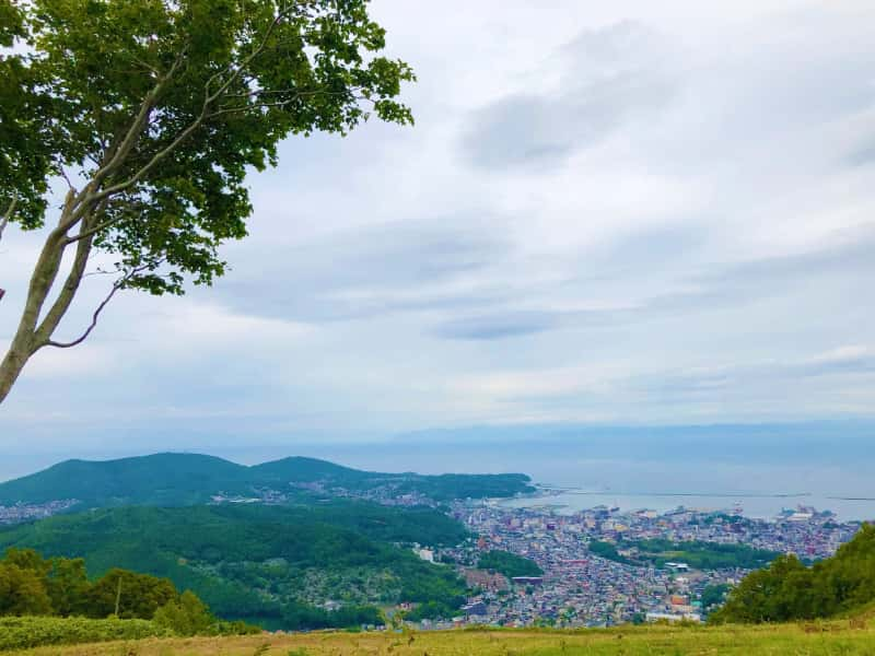 天狗山はシマリスの楽園 手のひらに乗せて写真撮影も 北海道 小樽市のおすすめスポット おしゃまち歩き