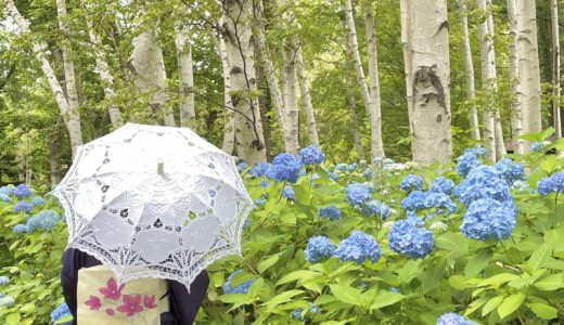 北海道｜紫陽花の名所5選！定番から穴場までおすすめスポットをご紹介します