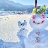真っ白な雪景色に癒しを！「花雪だるま」と「猫雪だるま」の作り方