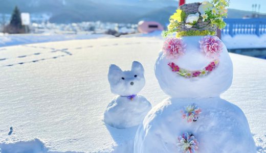 真っ白な雪景色に癒しを！「花雪だるま」と「猫雪だるま」の作り方